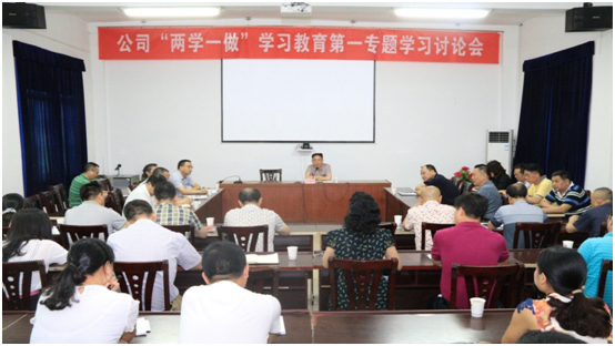 公司召開(kāi)“兩學(xué)一做”學(xué)習(xí)教育第一專(zhuān)題學(xué)習(xí)討論會(huì)
